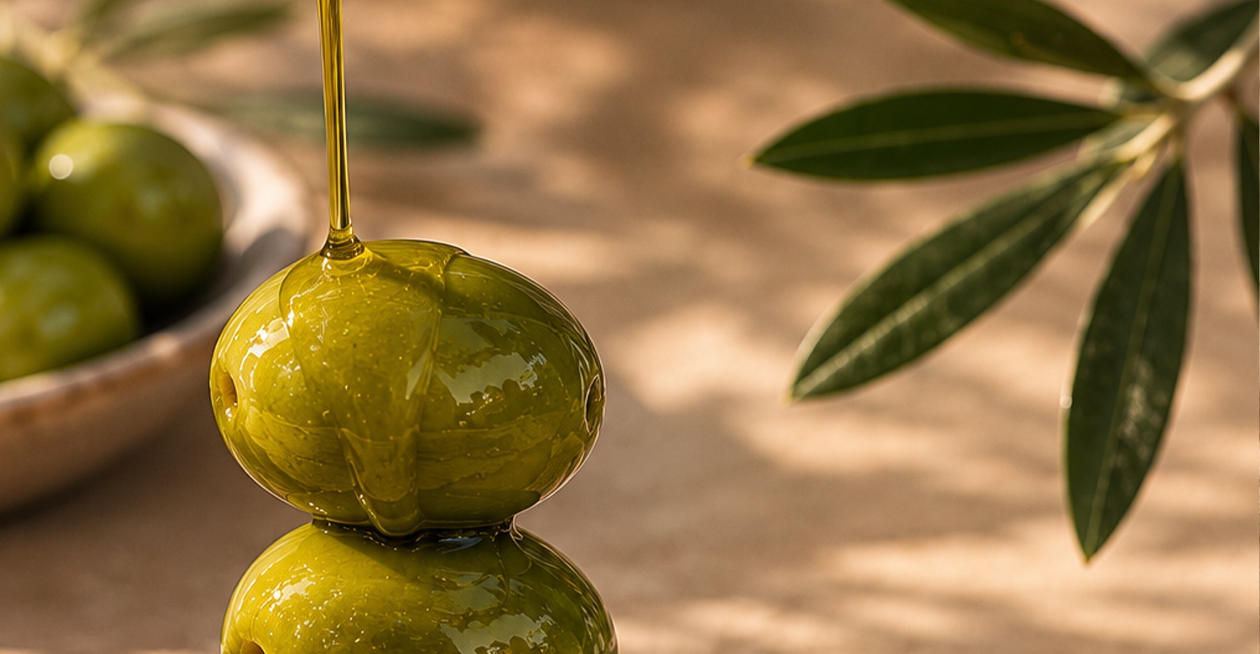The Story Of The Chetoui Olive