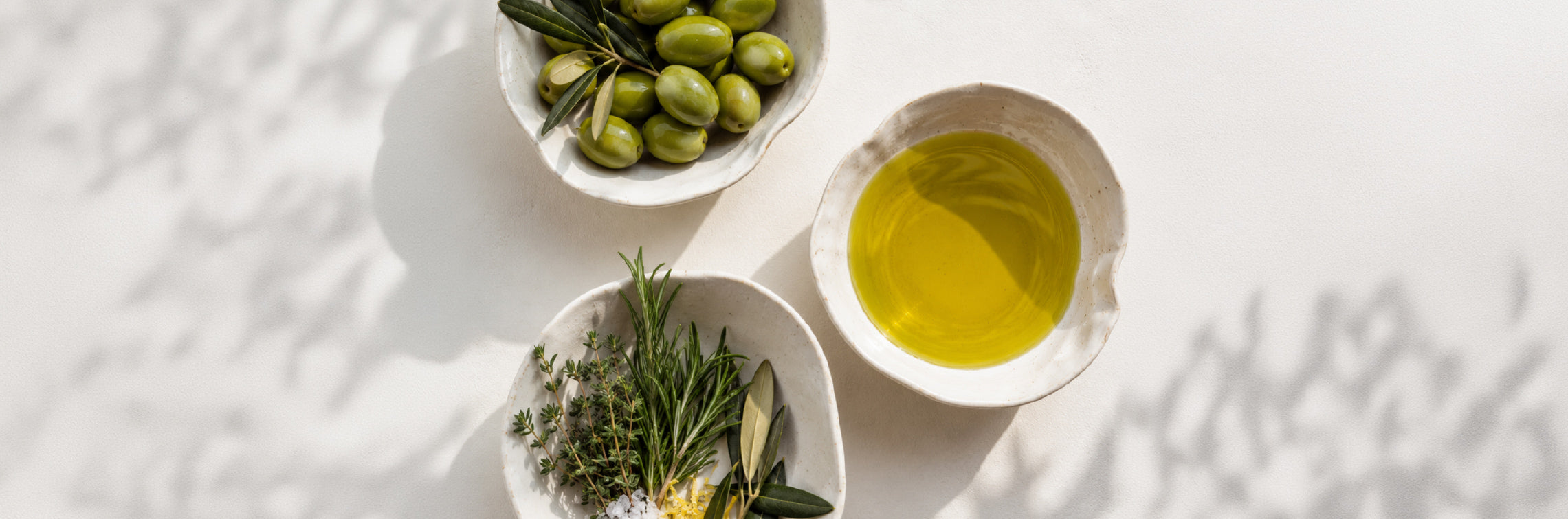 Premium Tunisian extra virgin olive oil served with fresh olives and Mediterranean herbs